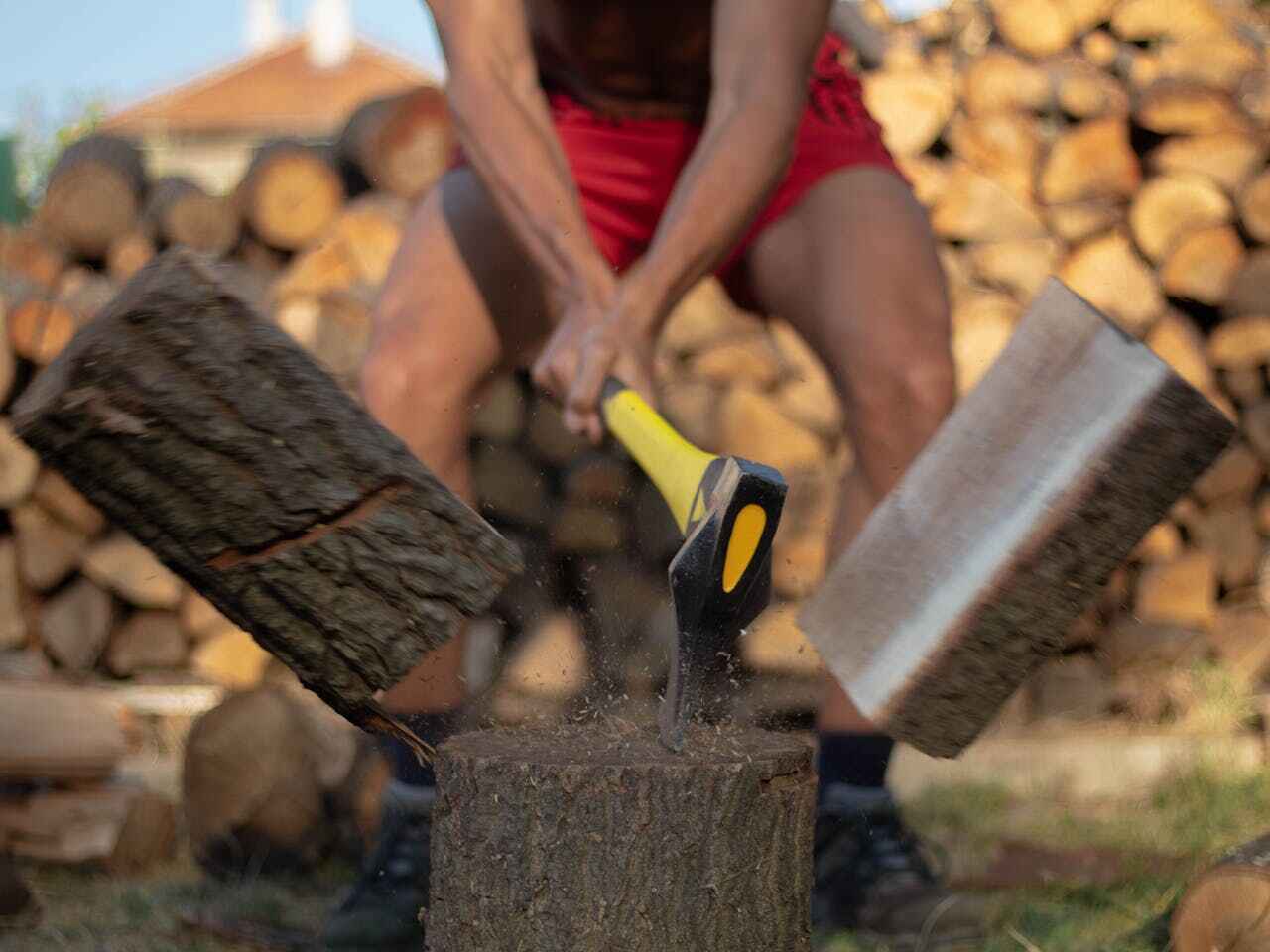 Best Tree Stump Removal  in USA